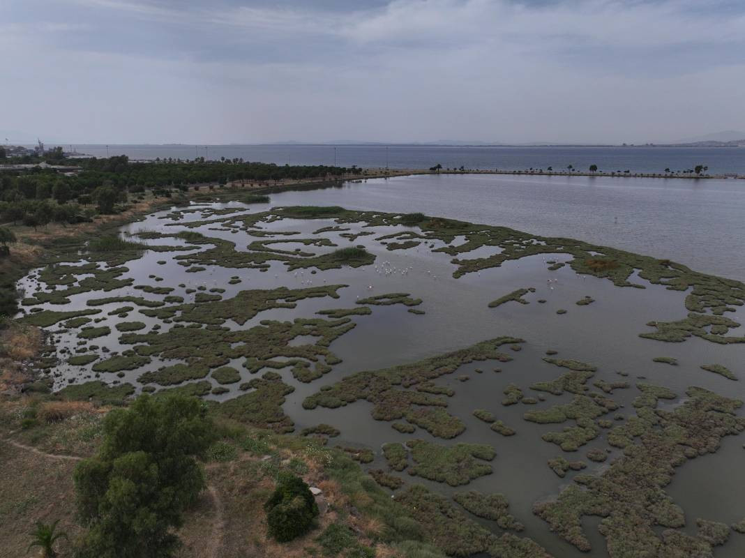 İzmir’de denizin rengi değişti! Görüntü ne ifade ediyor? - Resim: 13